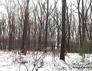 content/when_its_snowin_kellys_blowin/1.jpg